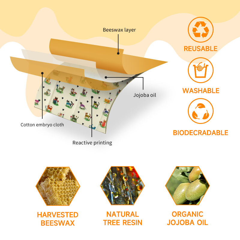 6 Packs (2S. 2M, 2L) reusable  - Beeswax Wrap Reusable 리뷰 및 가격