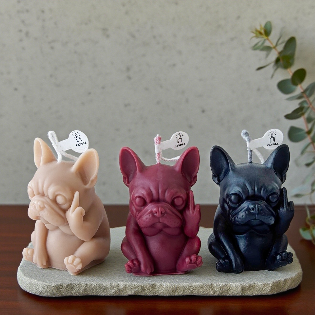 1pc Mini Unique Pet Dog Scente - Beeswax Wrap Reusable 리뷰 및 가격