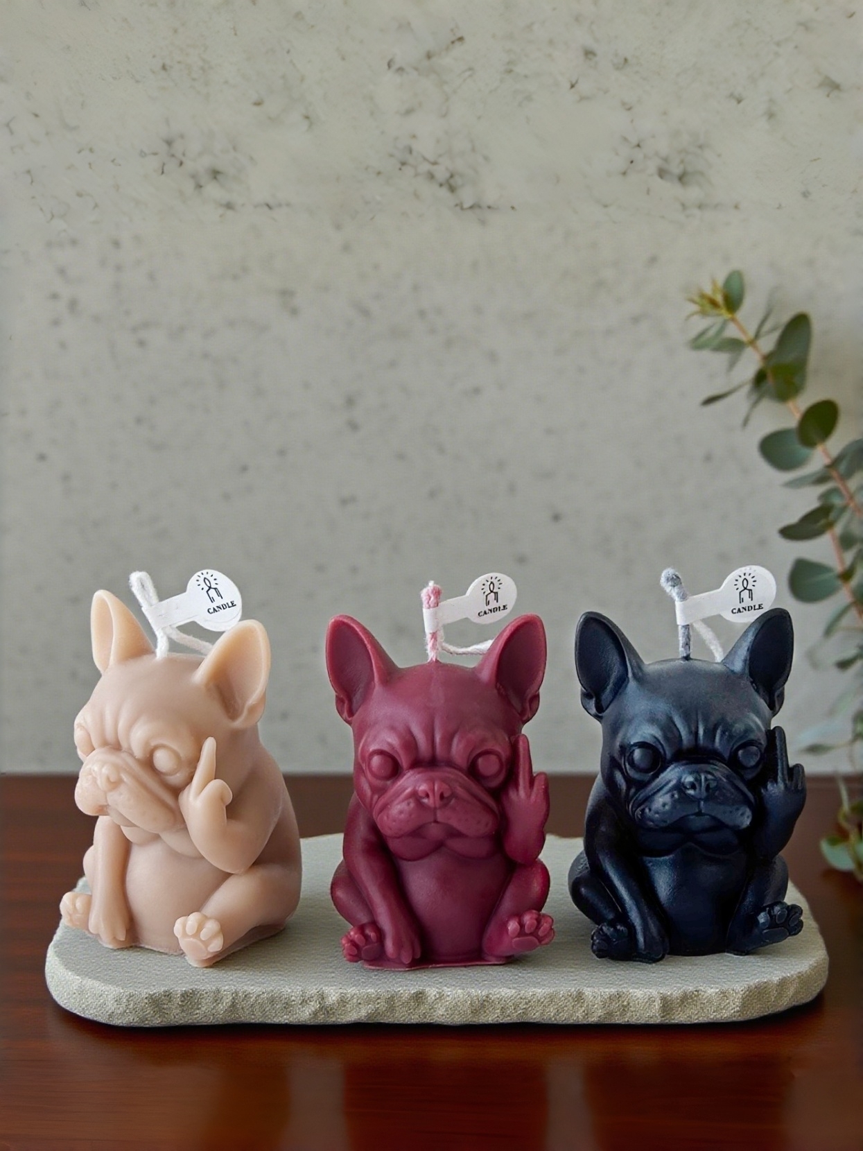 1pc Mini Unique Pet Dog Scente - Beeswax Wrap Reusable 리뷰 및 가격