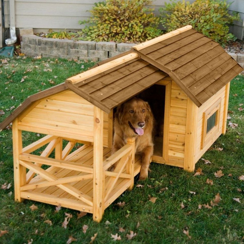 dog playpen Pet House Sustaina - Sustainable Living House 리뷰 및 가격